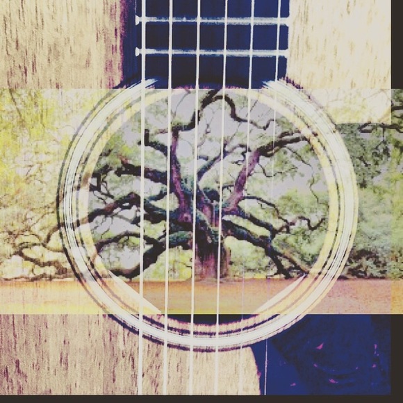 guitard53